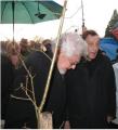 In Memoriam