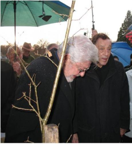 In Memoriam